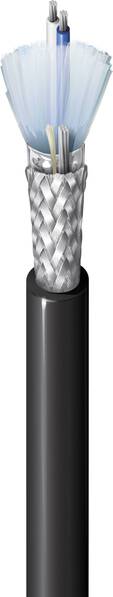 Belden Datenkabel 2 x 0.36 mm² Schwarz 3105A.00152 Meterware