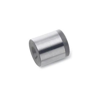 Ganter Norm® - 249.1-8-3,5 Raststücke für federnde Druckstücke