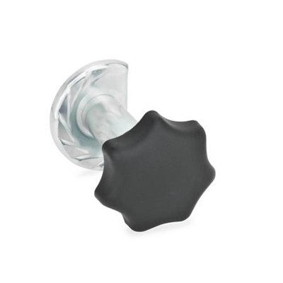 Ganter Norm® - 117-SG-T1-Z15 Türverriegelungen