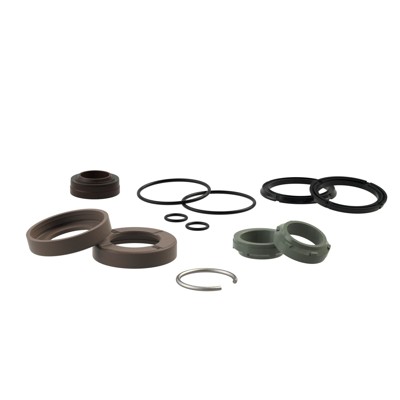 RIEGLER® - Dichtsatz für Normzylinder ISO 15552, Kolben-Ø 100, FKM