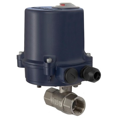 RIEGLER® - 2-Wege-Messingkugelhahn, elektrischer Stellantrieb, 230 V AC, 50 Hz, Rp 1/2"