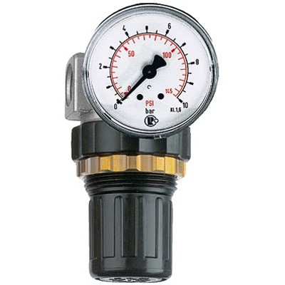 RIEGLER® - Druckregler »Standard-mini«, Schalttafelmutter, G 1/4", 0,1-3 bar