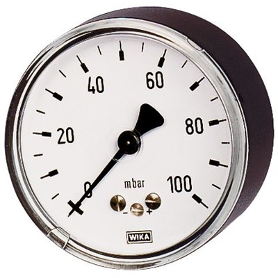 RIEGLER® - Kapselfedermanometer, G 1/4" hinten zentrisch, 0-60 mbar, Ø 63